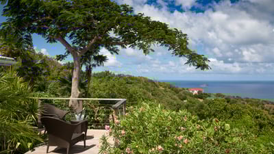 Luxury Villa Photo #14