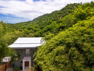 Luxury Villa Photo #66