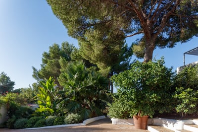 Luxury Villa Photo #59