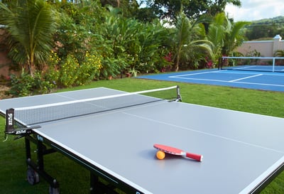 Luxury Villa Photo #9