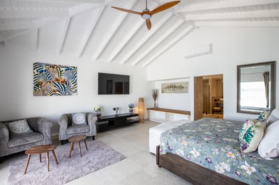 Luxury Villa Photo #37