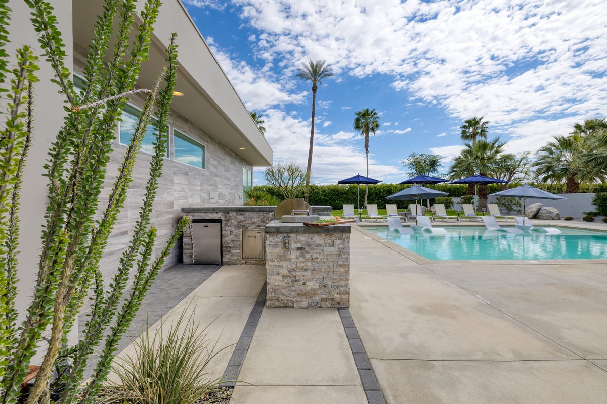 Green and Palm Oasis