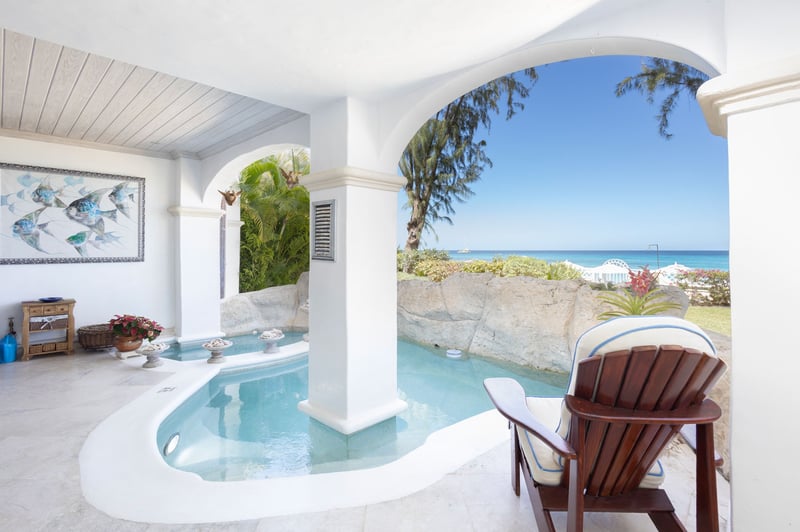 Old Trees 2 | Azzurro