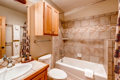 Twin bed room bath_lower level