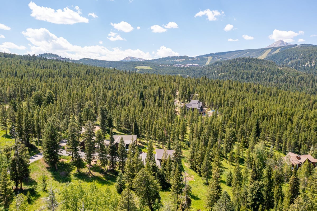 Gray Owl Retreat
