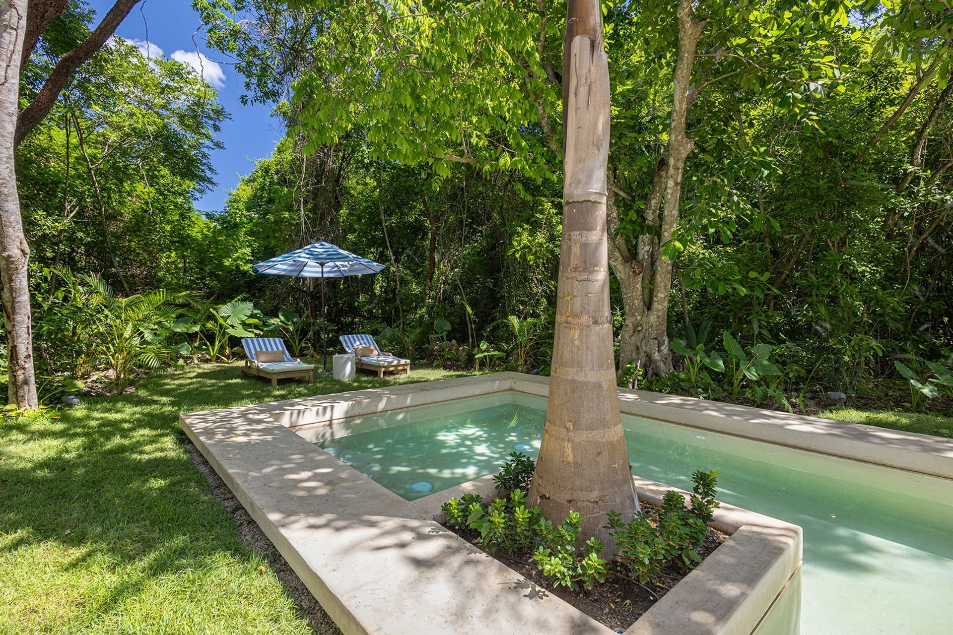 Palm Villa - 3