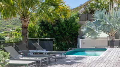Pool & Terrace