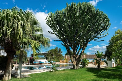 Luxury Villa Photo #9