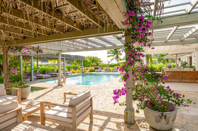 Luxury Villa Photo #4