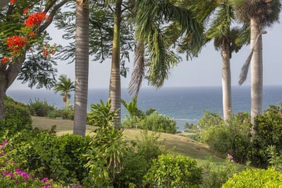 Luxury Villa Photo #6