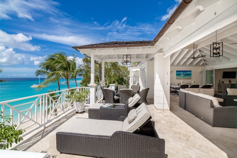 Old Trees 302 | La Mirage