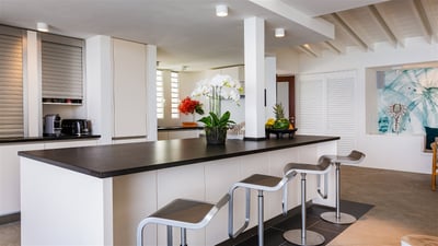 Luxury Villa Photo #25