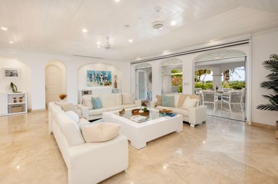 Paynes Bay,One Old Trees