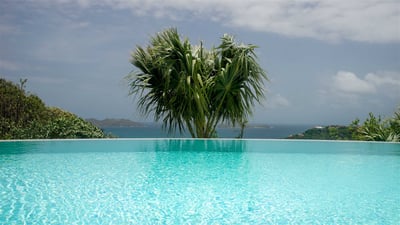 Pool & Terrace