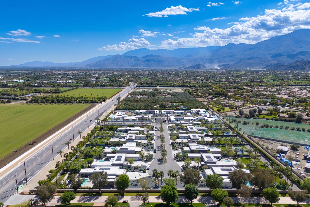 Green and Palm Oasis