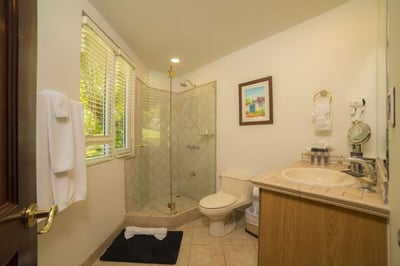 Luxury Villa Photo #26