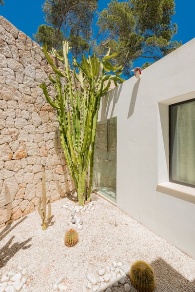 Luxury Villa Photo #50