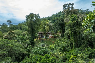 Luxury Villa Photo #2