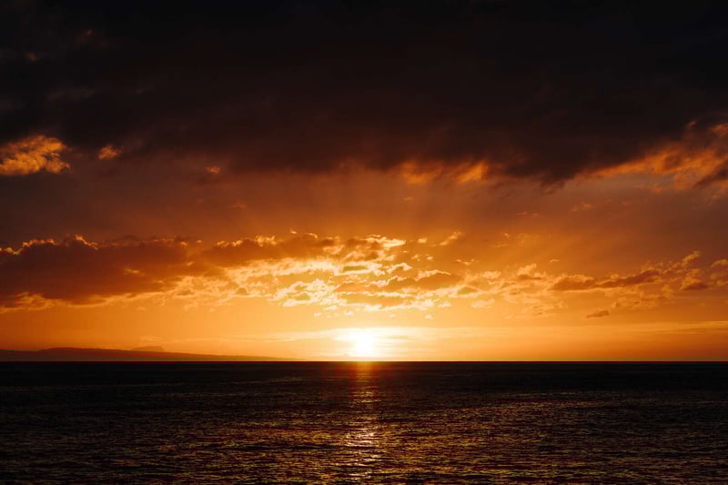 ANI Dominican Republic