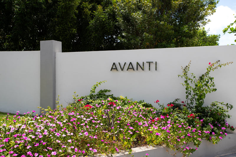 Avanti