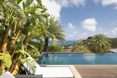 Luxury Villa Photo #6