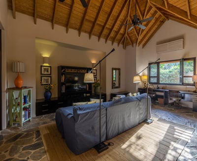 Luxury Villa Photo #51