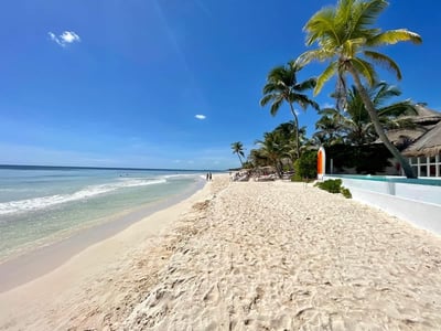 Luxury Villa Photo #47