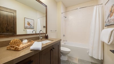 Hallway Bathroom