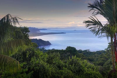 Luxury Villa Photo #22