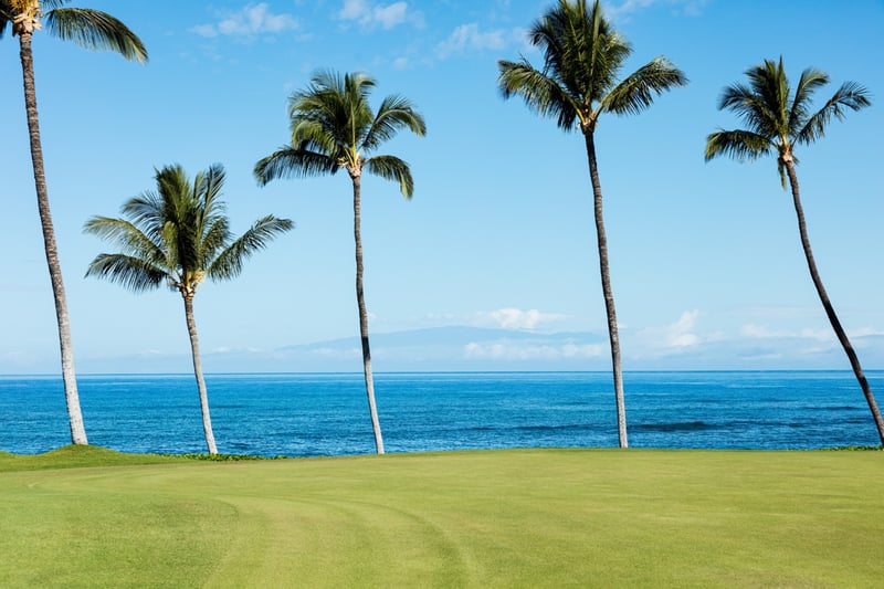 Ocean’s Edge at Pauoa