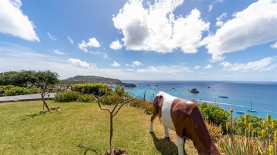 Outdoors: Beautiful garden surrounding the property. Panoramic views over the bay and the ocean