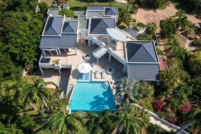 Les Terres Basses,Les Palmiers Bleus