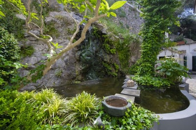 Luxury Villa Photo #9