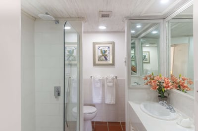 Luxury Villa Photo #7