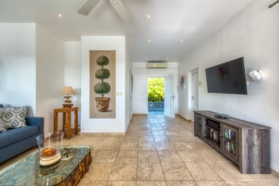 Luxury Villa Photo #25