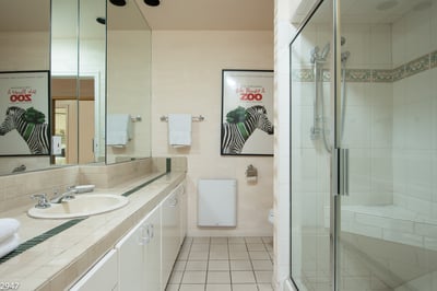 Luxury Villa Photo #40
