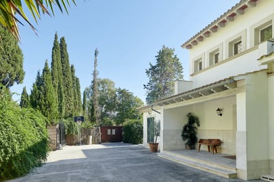 Luxury Villa Photo #63