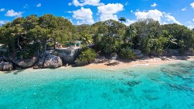 The Garden,Crystal Springs