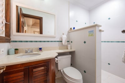 Luxury Villa Photo #24