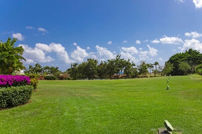 Luxury Villa Photo #21