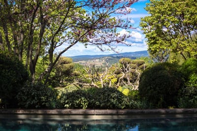 Luxury Villa Photo #5