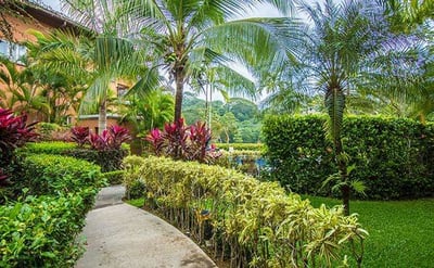 Luxury Villa Photo #14