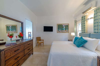 Luxury Villa Photo #11