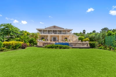 Sugar Hill Estate,Bananaquit