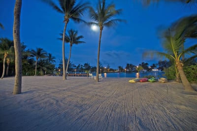 Luxury Villa Photo #21