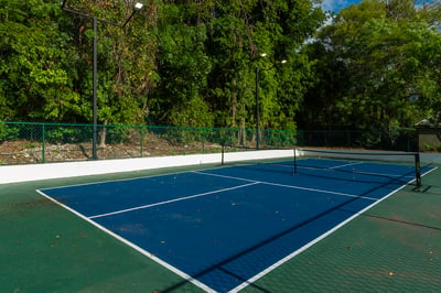 Luxury Villa Photo #6