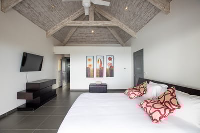 Luxury Villa Photo #33