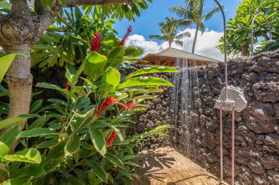 Luxury Villa Photo #17