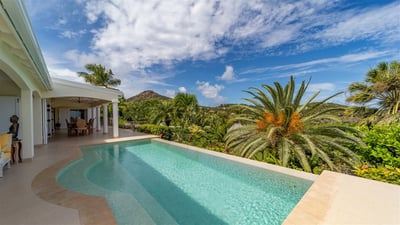 Luxury Villa Photo #3