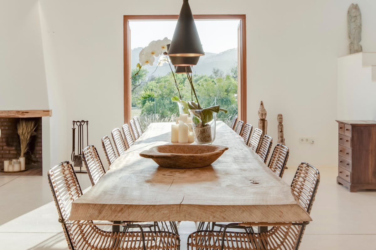 Paloma Blanca